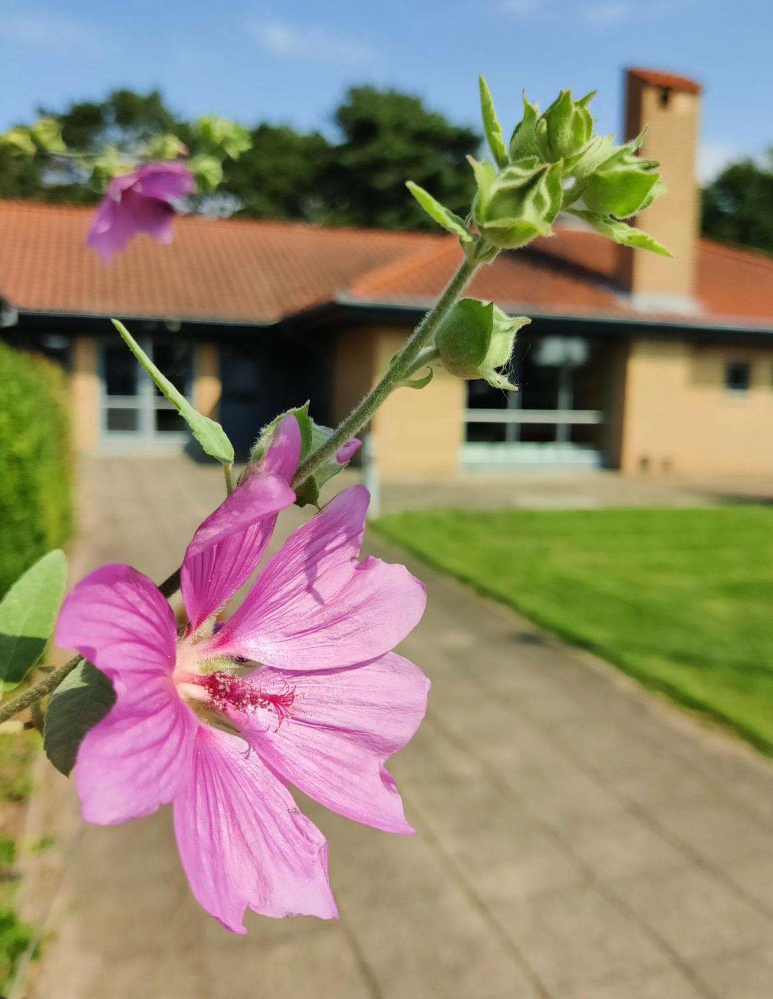 Hotel Svanegarden Korsør Zewnętrze zdjęcie